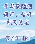 开局觉醒酒葫芦，晋升先天灵宝