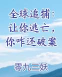 全球追捕：让你逃亡，你咋还破案