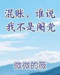 混账，谁说我不是阉党