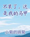 不装了，这是我的马甲推荐小说