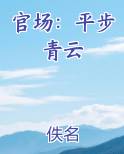 官场：平步青云