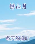 惊山月