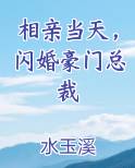 相亲当天，闪婚豪门总裁
