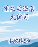重生后逆袭大律师
