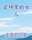 官场里的女人