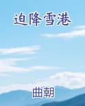 迫降雪港