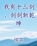 我有十三剑，剑剑斩乾坤