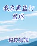 我在黑篮打篮球