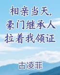 相亲当天,豪门继承人拉着我领证