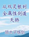 从双灵根到全属性剑道天骄原著小说