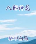 八部神龙