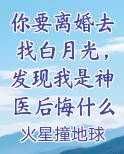 你要离婚去找白月光，发现我是神医后悔什么