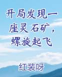 开局发现一座灵石矿，螺旋起飞
