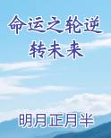 命运之轮逆转未来