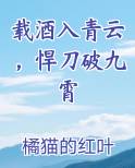 载酒入青云，悍刀破九霄