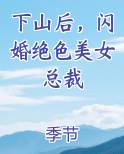 下山后，闪婚绝色美女总裁