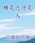 精灵之守灵人