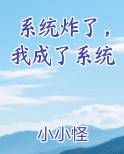 系统炸了，我成了系统
