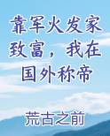 靠军火发家致富，我在国外称帝