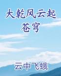 大乾风云起苍穹