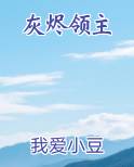 灰烬领主