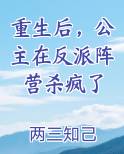 重生后，公主在反派阵营杀疯了