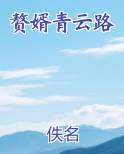 赘婿青云路