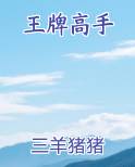 王牌高手