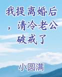 我提离婚后，清冷老公破戒了