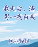 我走后，渣男一夜白头
