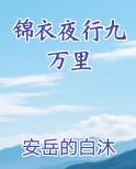 锦衣夜行九万里