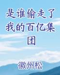 是谁偷走了我的百亿集团