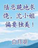 陆总跪地求饶，沈小姐偏要独美！