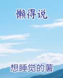 懒得说