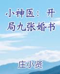小神医：开局九张婚书