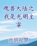 魂兽大陆之我是光明主宰