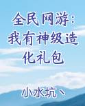 全民网游：我有神级造化礼包