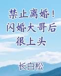 禁止离婚！闪婚大哥后很上头