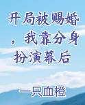 开局被赐婚，我靠分身扮演幕后